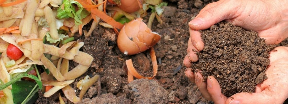 Composteur de jardin : découvrez le meilleur modèle 2024