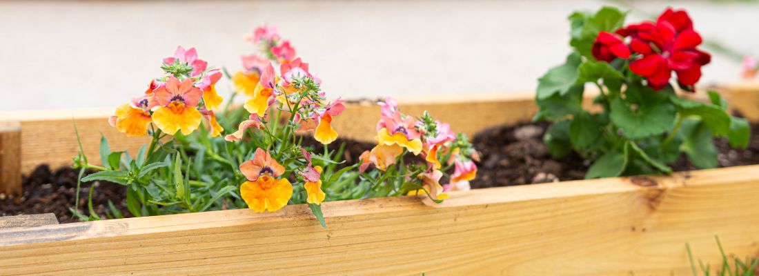 Comment garantir la longévité de votre terrasse bois ?