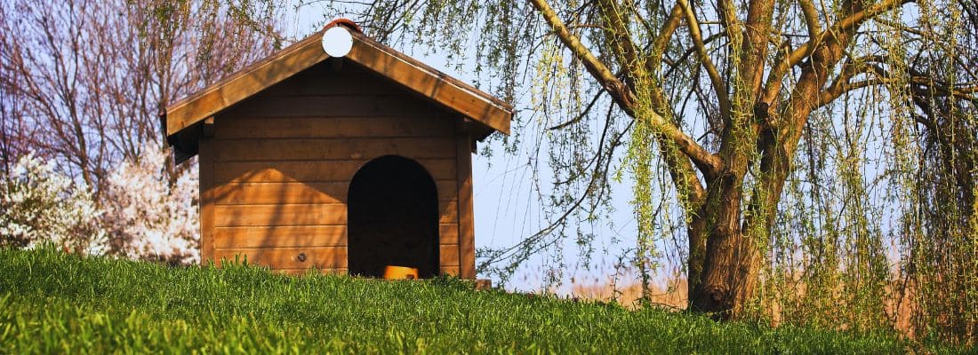 niche en bois